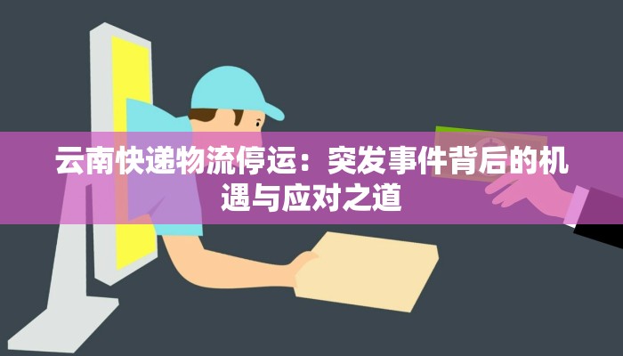 云南快递物流停运：突发事件背后的机遇与应对之道