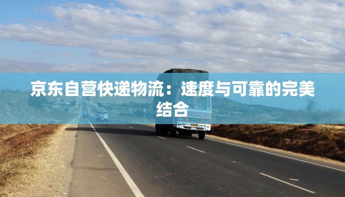 顺丰快递物流停摆？别慌！揭秘背后的真相与应对之道