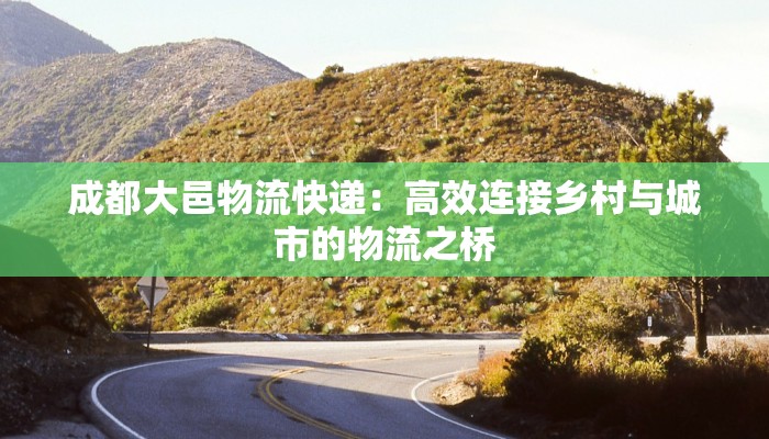 成都大邑物流快递：高效连接乡村与城市的物流之桥