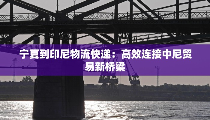 宁夏到印尼物流快递:高效连接中尼贸易新桥梁