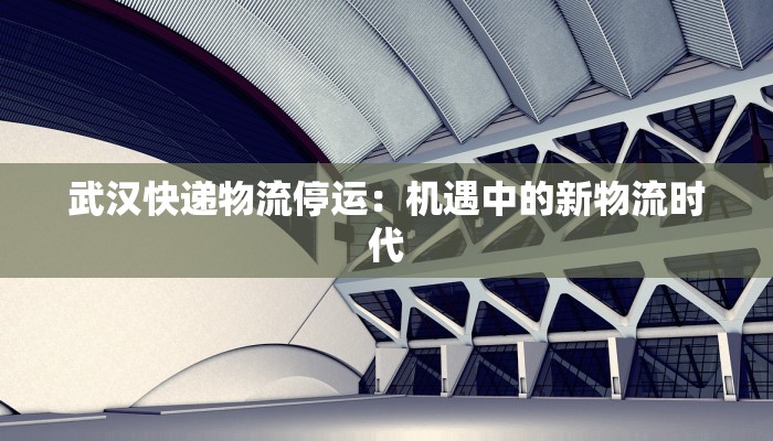 武汉快递物流停运：机遇中的新物流时代