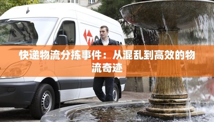 快递物流分拣事件：从混乱到高效的物流奇迹