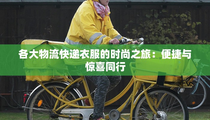 各大物流快递衣服的时尚之旅：便捷与惊喜同行