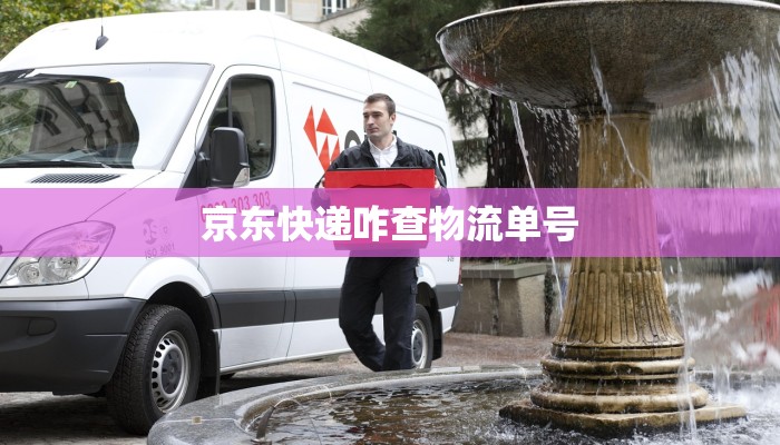 京东快递咋查物流单号