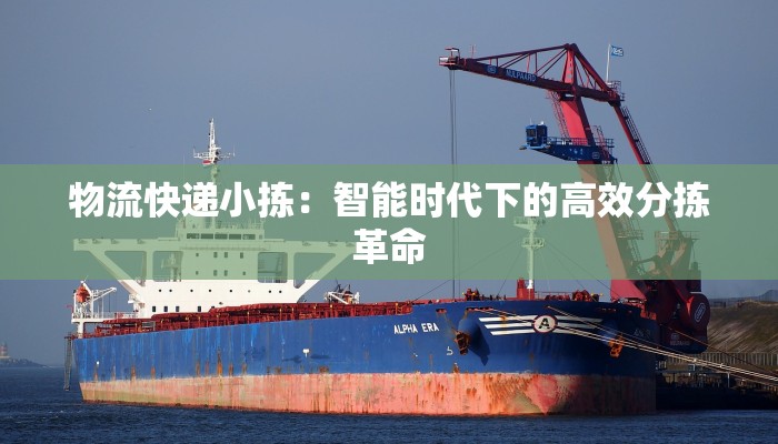 物流快递小拣：智能时代下的高效分拣革命