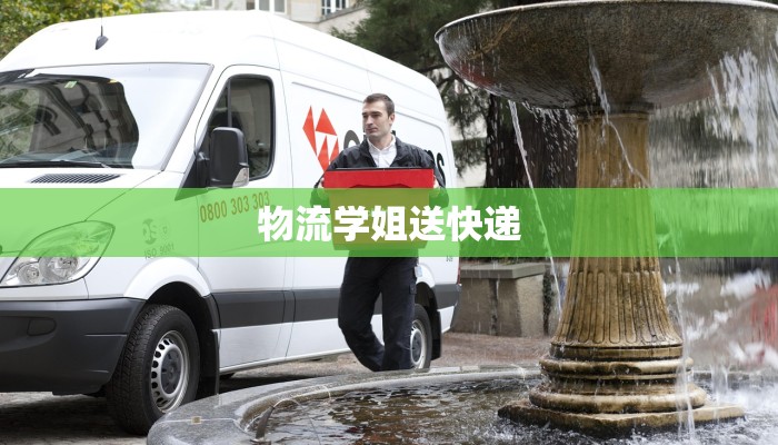 物流学姐送快递