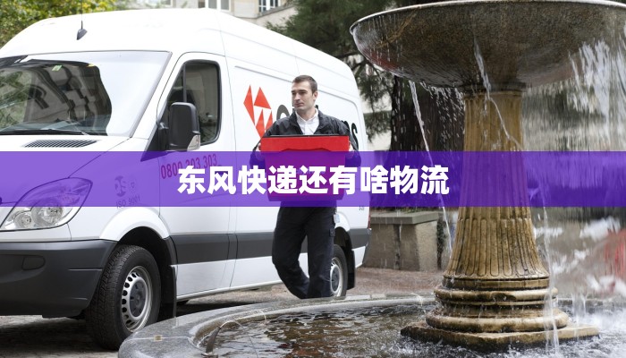 顺心捷达物流快递单：便捷出行的智慧之选