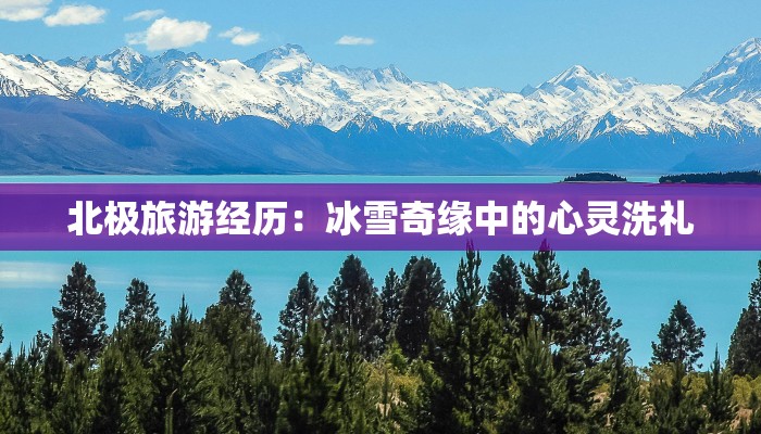 北极旅游经历:冰雪奇缘中的心灵洗礼