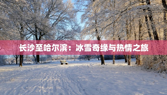 长沙至哈尔滨：冰雪奇缘与热情之旅