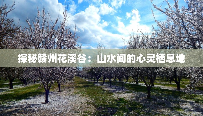 探秘赣州花溪谷：山水间的心灵栖息地