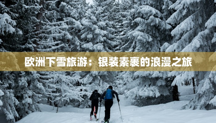 欧洲下雪旅游:银装素裹的浪漫之旅