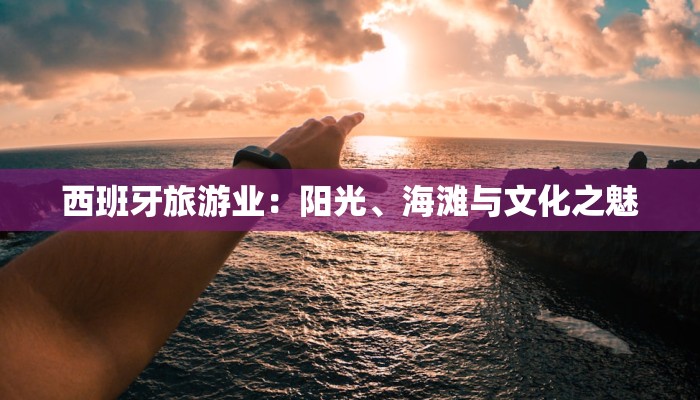 衡水物流快递名字：揭秘背后的智慧与效率