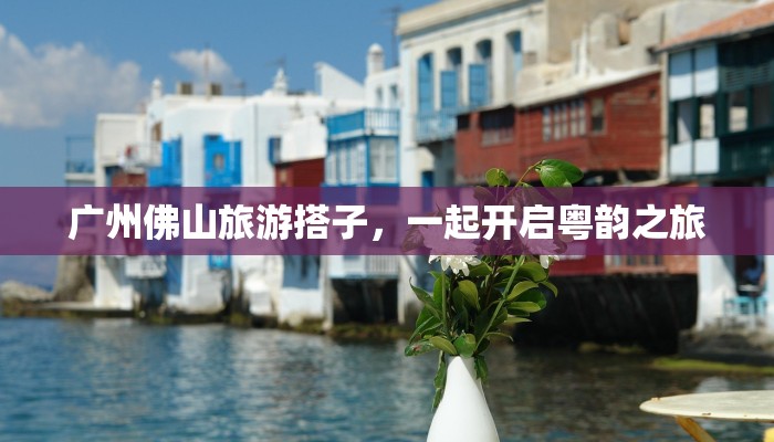 广州佛山旅游搭子，一起开启粤韵之旅