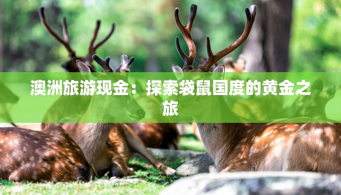 国庆主题作文：红旗飘扬的荣光与梦想