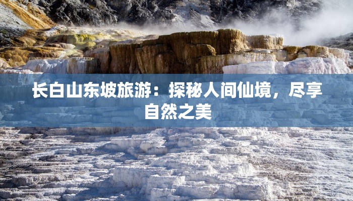 长白山东坡旅游:探秘人间仙境,尽享自然之美