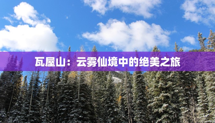 公园写景作文：春风拂面的诗意之旅