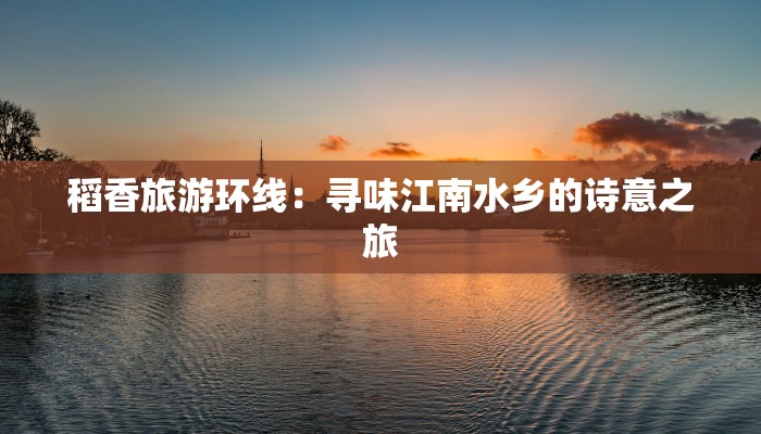 安徽物流快递袋功能:高效守护您的物流之旅