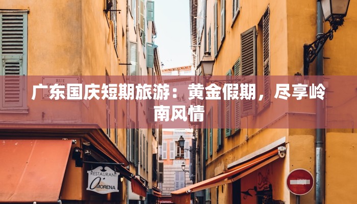 彭麻麻出访服装：优雅与外交的完美交融