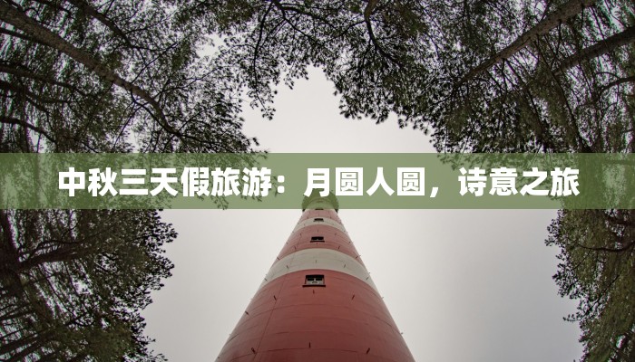 绽放的时尚:花店与服装店的完美融合