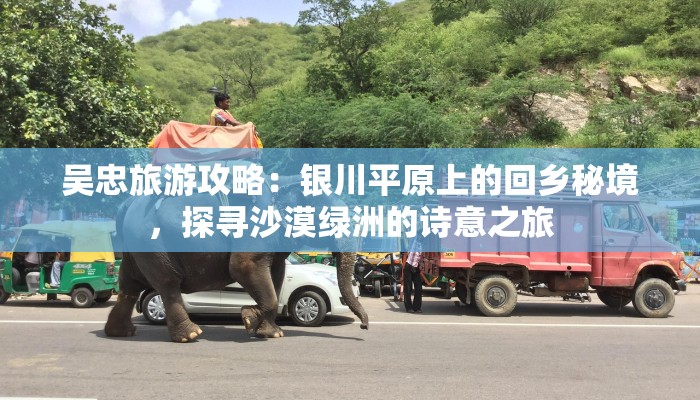 乐业最新疫情通告