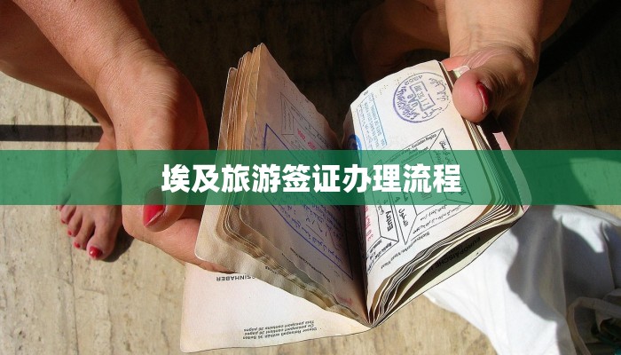 埃及旅游签证办理流程