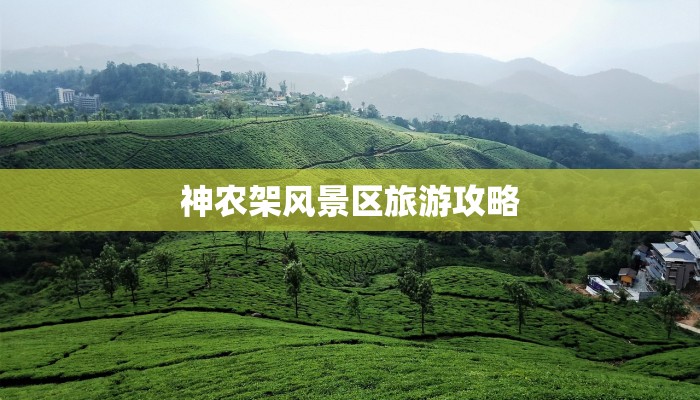 快递员加入物流：开启职业新征程，拥抱无限可能