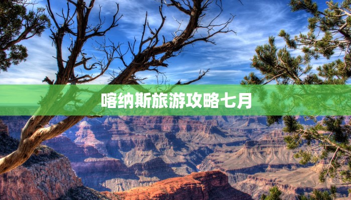 喀纳斯旅游攻略七月