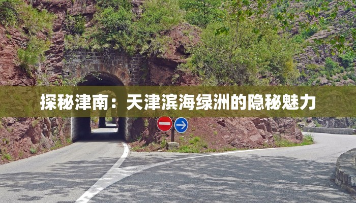 探秘津南：天津滨海绿洲的隐秘魅力