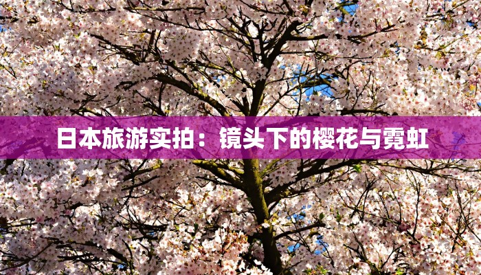 日本旅游实拍：镜头下的樱花与霓虹