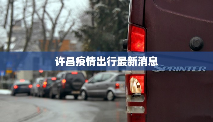 上海大众物流快递开箱：惊喜满满的物流之旅