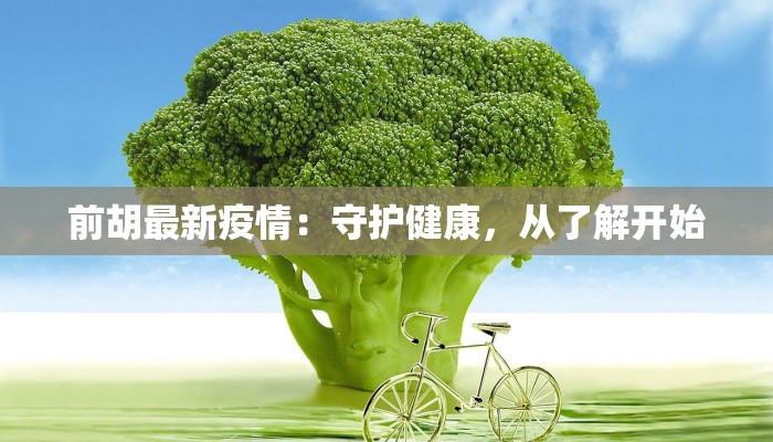 服装招商展厅:开启品牌腾飞的黄金之门