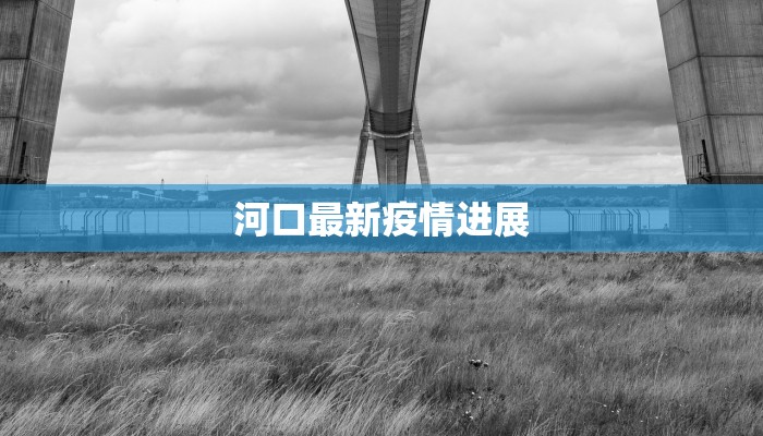 河口最新疫情进展