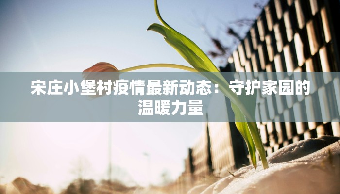 宋庄小堡村疫情最新动态：守护家园的温暖力量