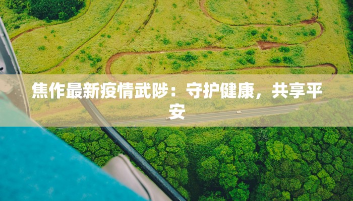 焦作最新疫情武陟：守护健康，共享平安