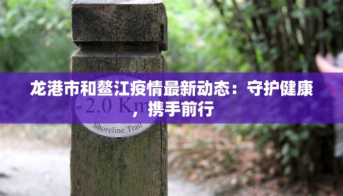 龙港市和鳌江疫情最新动态：守护健康，携手前行