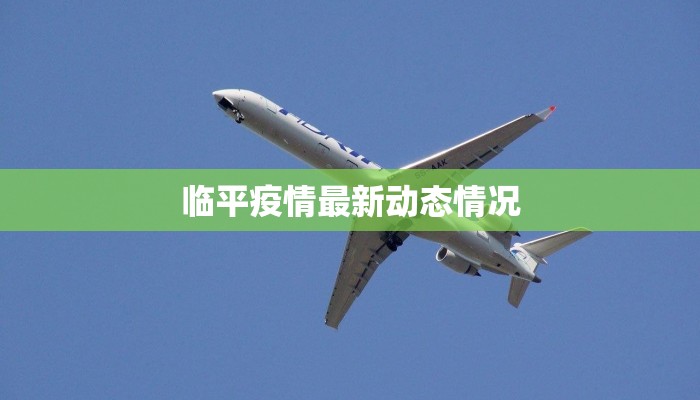 临平疫情最新动态情况