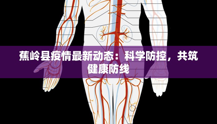 蕉岭县疫情最新动态:科学防控,共筑健康防线