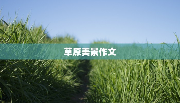 草原美景作文
