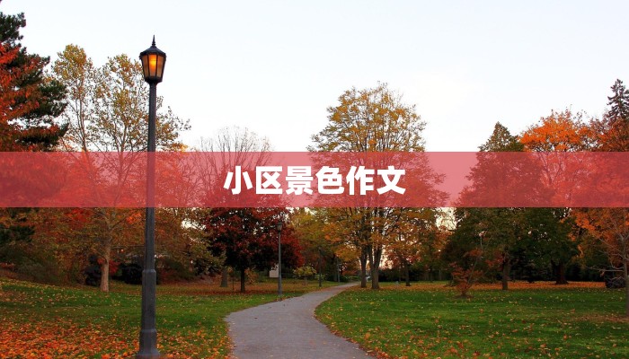 小区景色作文