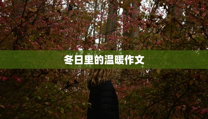 冬日里的温暖作文
