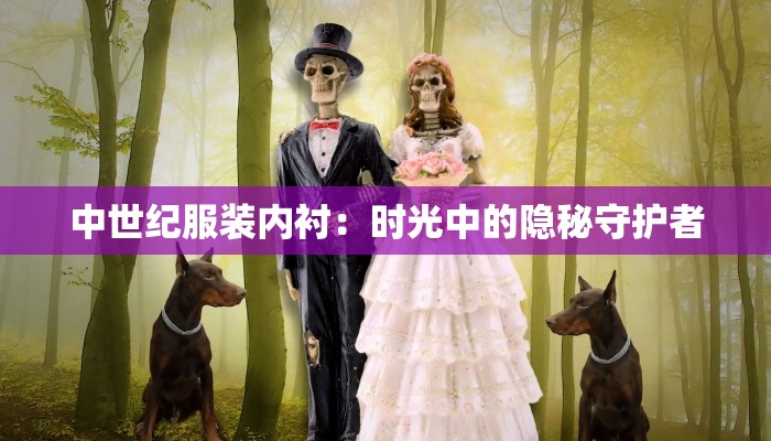 中世纪服装内衬：时光中的隐秘守护者