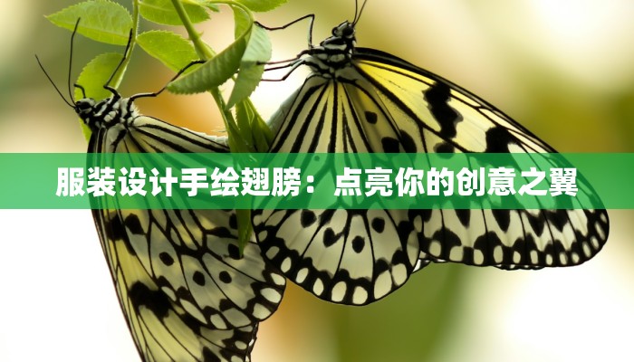服装设计手绘翅膀：点亮你的创意之翼
