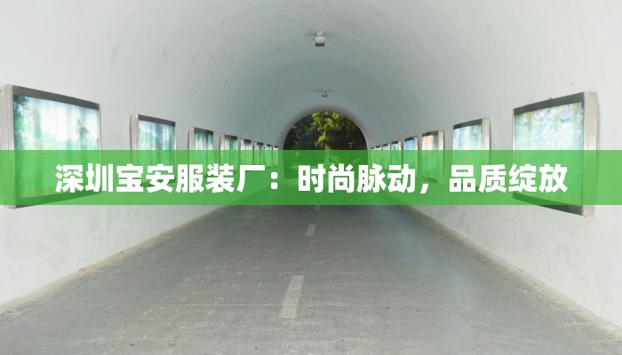 深圳宝安服装厂：时尚脉动，品质绽放