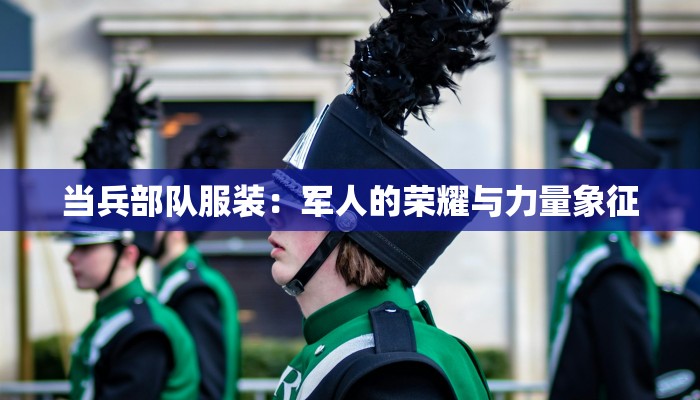 清朝服装花纹:时光中的华美印记