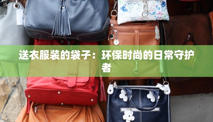 送衣服装的袋子：环保时尚的日常守护者