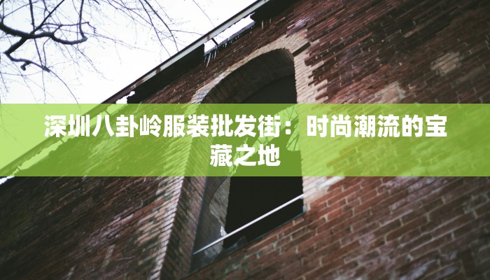 深圳八卦岭服装批发街：时尚潮流的宝藏之地