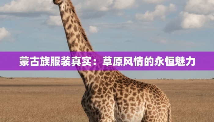 蒙古族服装真实：草原风情的永恒魅力