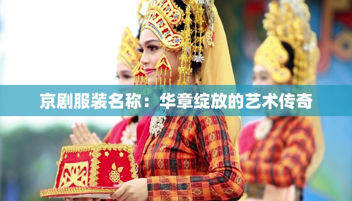 京剧服装名称:华章绽放的艺术传奇