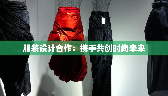 服装设计合作：携手共创时尚未来