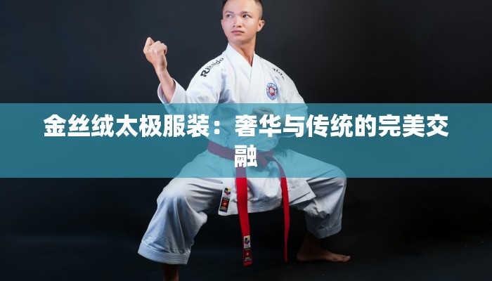 金丝绒太极服装：奢华与传统的完美交融